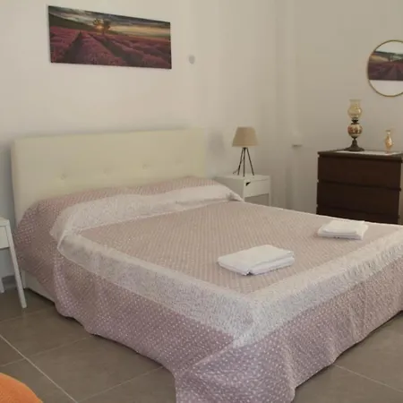 Netum Guest بيت ضيافة نوتو
