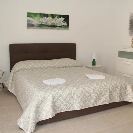 Netum Guest Noto